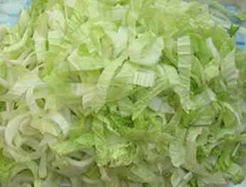 STW-805葉菜類切菜機(jī)配圖2