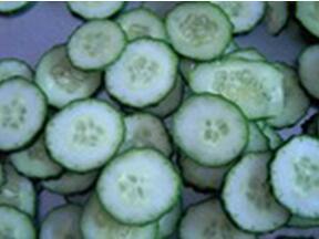 STW-806臺灣大型切菜機配圖4